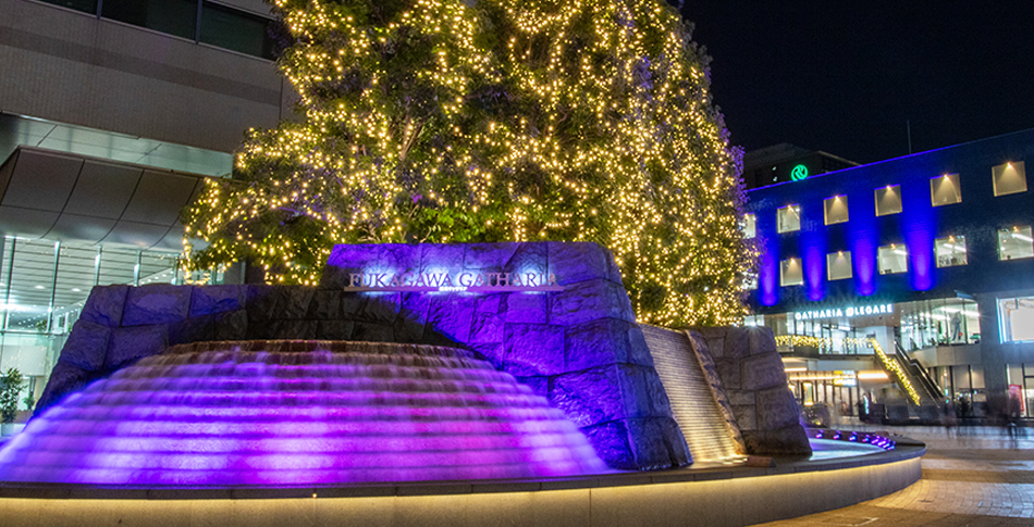 クリスマスイルミネーション2025「Blooming the Future ～未来を、花咲かせよう～」