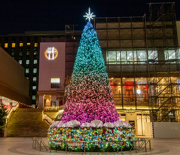 クリスマスイルミネーション2025「Blooming the Future ～未来を、花咲かせよう～」